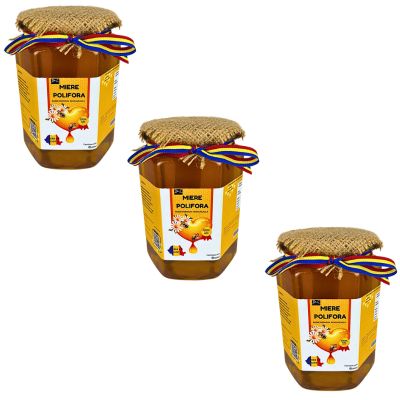 Miere poliflora DAC shop naturala,3KG
